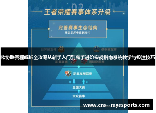 欧协联赛程解析全攻略从新手入门到高手进阶实战指南系统教学与投注技巧 欧协联赛程解析全攻略从新手入门到高手进阶实战指南系统教学与投注技巧